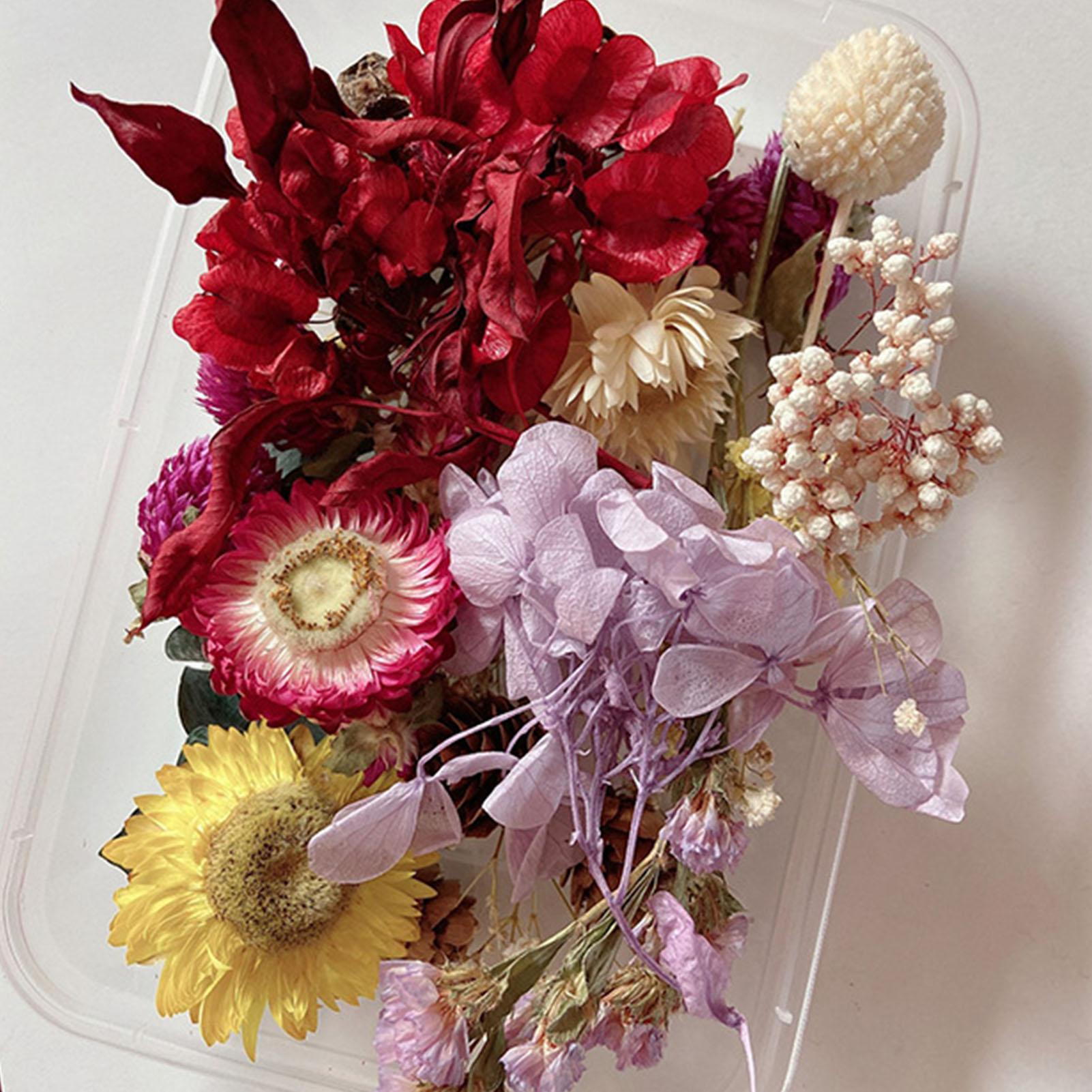 Natural Dried Flower Kit Press - огляд і ціна Candle Making Kits